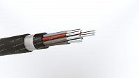 Кабель АКРВГЭ 10х4
